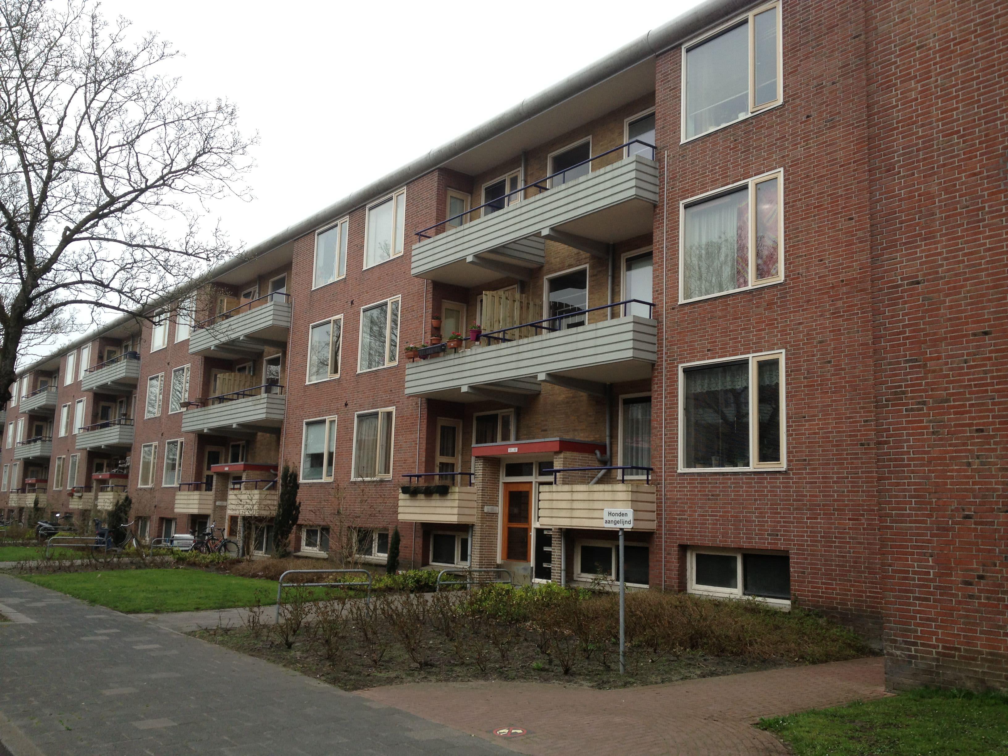 Gerard Doustraat 52