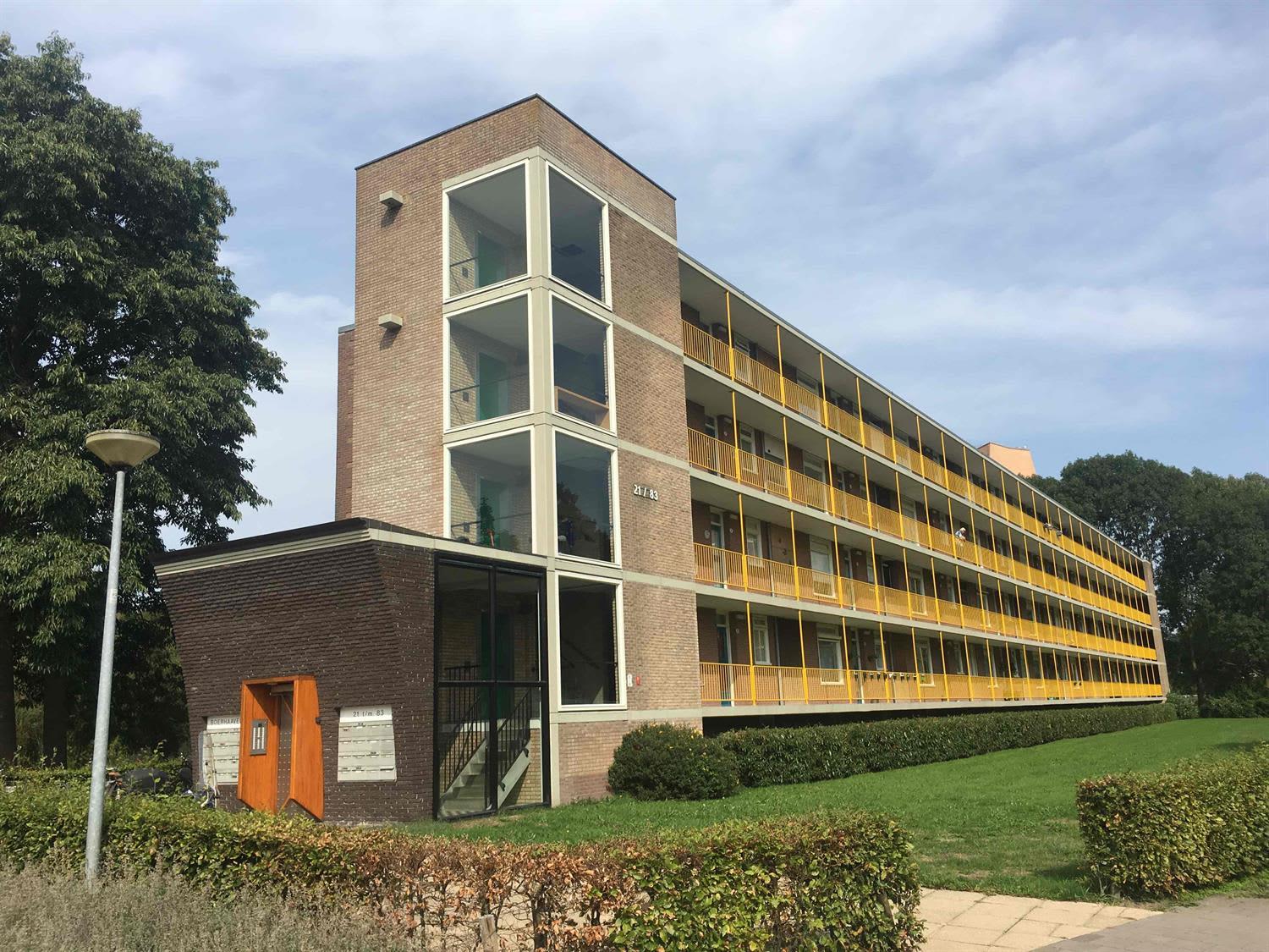 Boerhaavelaan 51